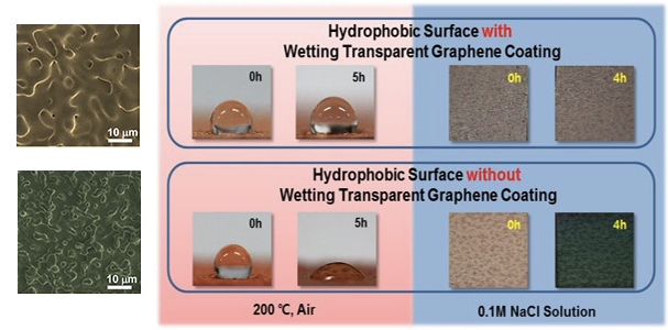 Figure: Superior anti-corrosion and wetting stability. Compared to the hierarchically-roughened but non-coated copper surface (bottom,left) which loses hydrophobicity when exposed to air and brine, the graphene-coated surface (top, left) retains its properties due to the anti-corrosive and wetting-stability effects of graphene.