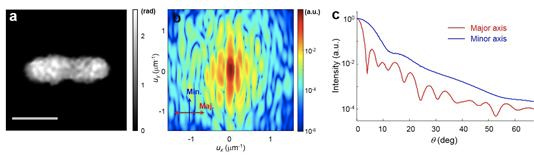 Optical-Measurements-of-Light-Scattering-from-Individual-Bacteria-01