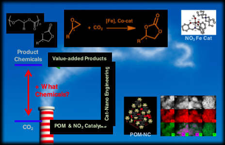 Figure 1. Schematic illustration of catalytic conversion of CO2