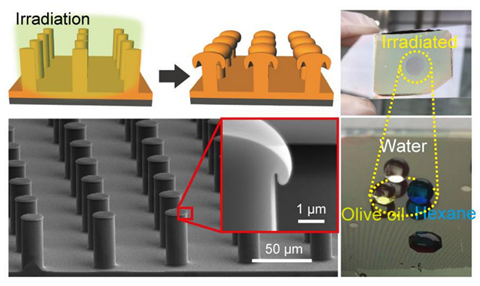 Figure 1. The realization of superomniphobic surfaces by photofluidization of azopolymer pillars