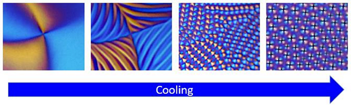 Figure 1. The phase transition of the LC topological defect on cooling.