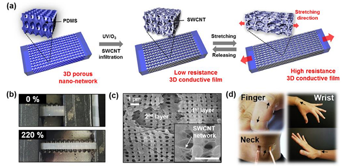 Figure 1. Concept and strategy for achieving a 3D bicontinuous nanoporous electrode. (a) Schematic illustration of the fabrication procedure for the 3D continuous conductive nanostructure and its demonstration as a 3D electrode for a strain sensor. (b) Photographs of the highly stretchable 3D PDMS before and after stretching of ε = 220%. (c) Top view SEM image of a 20% stretched 3D continuous conductive nanostructure after removal of a part of the first layer (scale bar, 1 μm). (d) Photographs of 3D strain sensors attached to the finger, neck, and wrist to detect dynamic human motions, such as phonations and joint movements. 