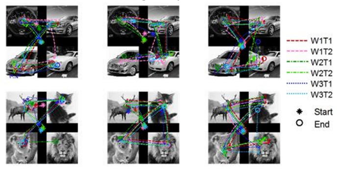 Figure 1. Examples of scanpaths in a 2D coordinate system for two stimulating images and three subjects. The starting point of each scanpath is marked with an asterisk (*) and the end point with a circle (o). Each subject’s scanpaths during observations of an image set are plotted together on the image set. Wn demotes experiments in the n’th week. T1 and T2 denote the first and second experiments with 30 minute intervals. 