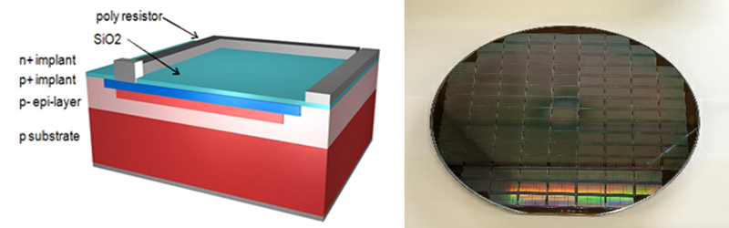 Figure 1. Structure of SiPM and Wafer