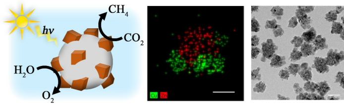 Figure 1. The structure of colloidal ZnO-Cu2O nanocatalysts