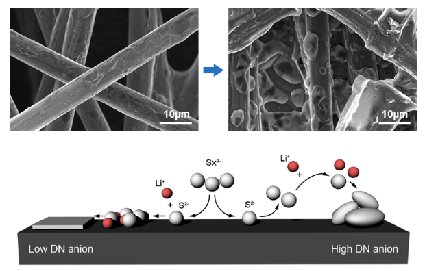 Fig. 1 Variation of the deposition morphology of Li2S depending on the kind of salt anion