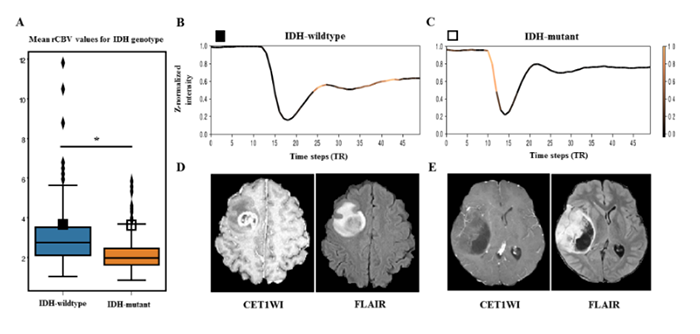 Figure 1. (A) Quantitative analysis: t-test for mean rCBV of each group, and (B-D) Qualitative analysis: temporal feature interpretation 