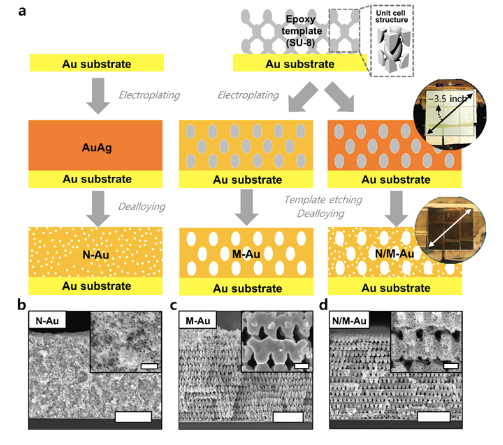 Figure 1. (a) Schematic illustration of fabrication method for nanoporous gold (N-Au), macroporous gold (M-Au), and hierarchically porous gold (N/M-Au). Digital images of 3D polymer template electroplated with gold-silver alloy and N/M-Au on 4-inch wafer. (b) Scanning electron microscope (SEM) images of (b) N-, (c) M-, and (d) N/M-Au (Scale bars, 5 µm; Inset scale bars, 500 nm).
