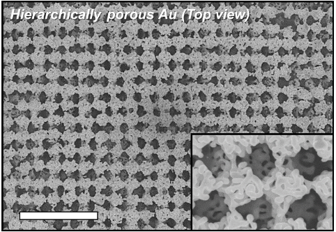 Figure 2. Top view SEM images of hierarchically porous gold nanostructure (Scale bar: 3 μm). 
