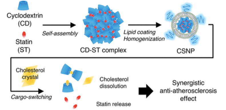 Scheme 1. Preparation and action of cargo-switching nanoparticles.