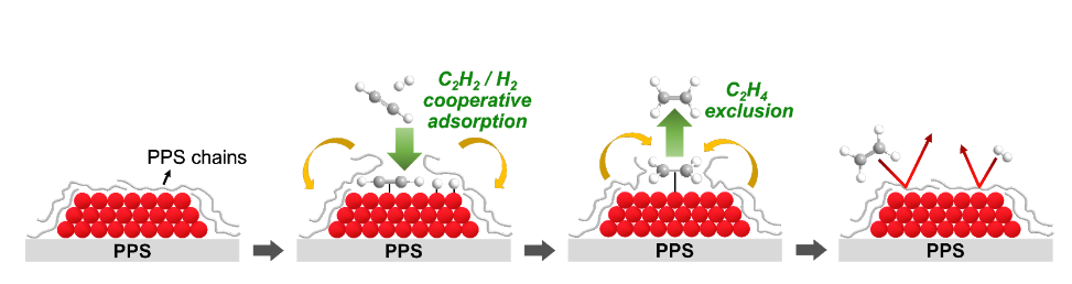 Scheme 1. Selective acetylene partial hydrogenation over Pd catalyst supported on PPS.