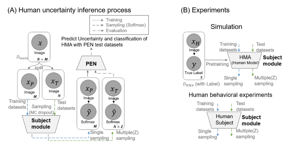 Scheme 1. Overview of the proposed system: (A) Proposed framework of human uncertainty inference. (B) Simulation / human behavioral experiment.