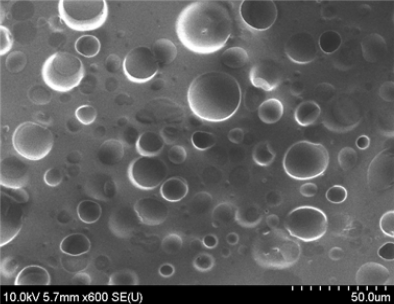 Scheme 1. SEM image of porous polymer patch with uniformly distributed pores