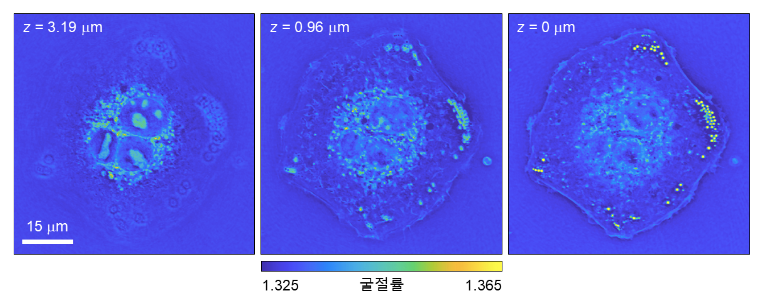 Scheme 1. Measured three-dimensional refractive index profile of A549 cell. 