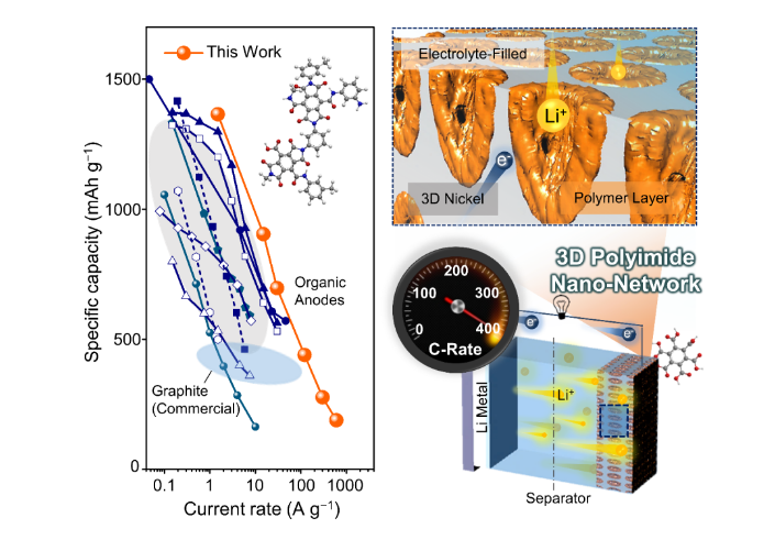 Figure 1. Rate capability comparison and schematic illustration of energy storage in a 3D polyimide nano-network