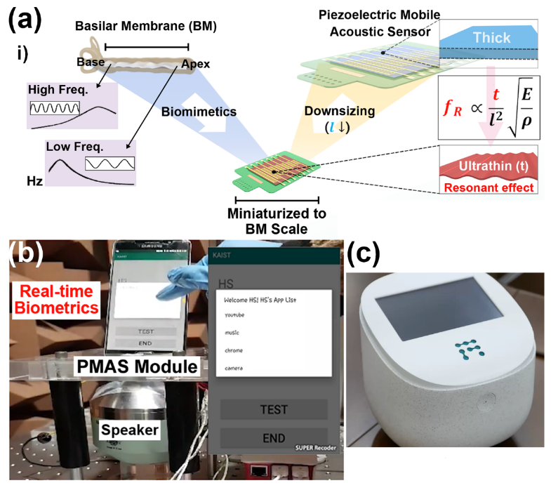 Scheme 1. (a) Schematic illustration of the basilar membrane-inspired flexible piezoelectric mobile acoustic sensor, (b) Real-time voice biometrics based on a machine learning algorithm, and (c) World’s -first commercial product of a mobile-sized acoustic sensor