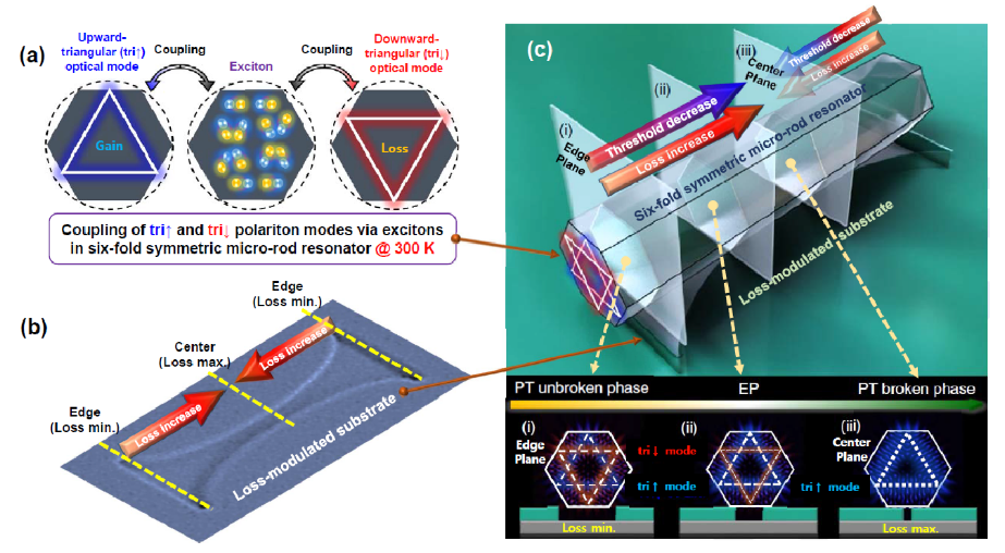 Scheme 1. Polaritonic PT symmetric system based on hexagonal microcavity. By employing direct coupling with loss modulation, room-temperature polaritonic PT symmetry was demonstrated, revealing the lowest threshold of polariton condensates despite an increase in the loss.