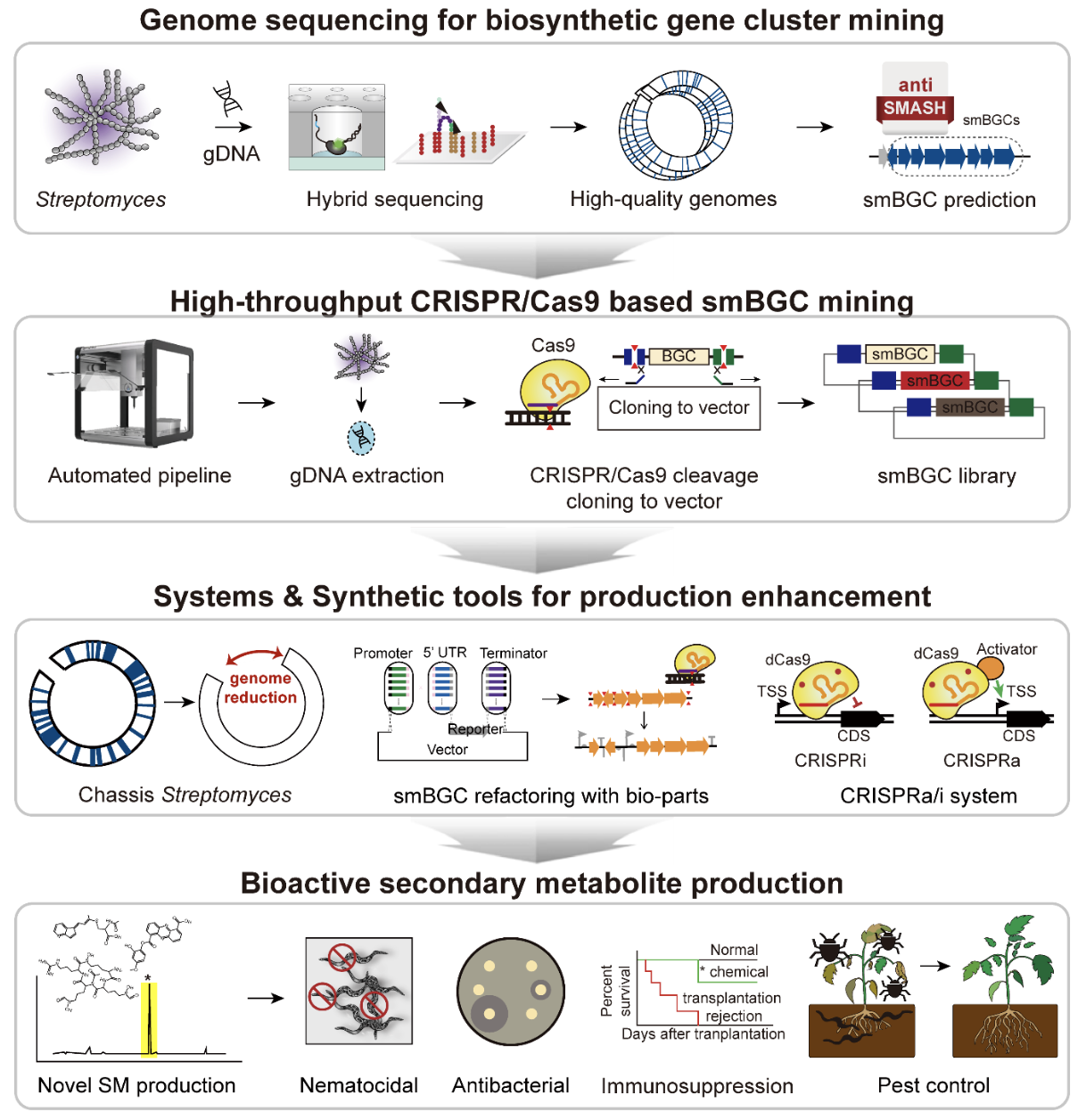 Fig 1. Bioactive secondary metabolite mining strategy using systems & synthetic biology tools in Streptomyces