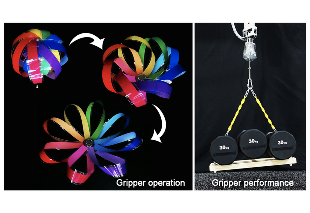 Scheme 1. Gripper operation and performance