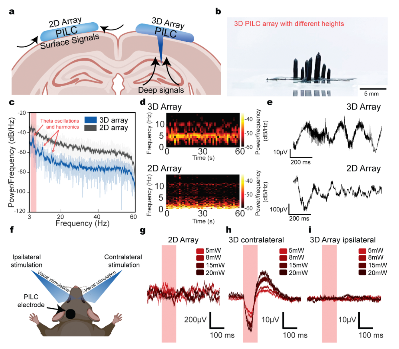 Figure 2. In vivo endogenous neural signals from deeper brain regions