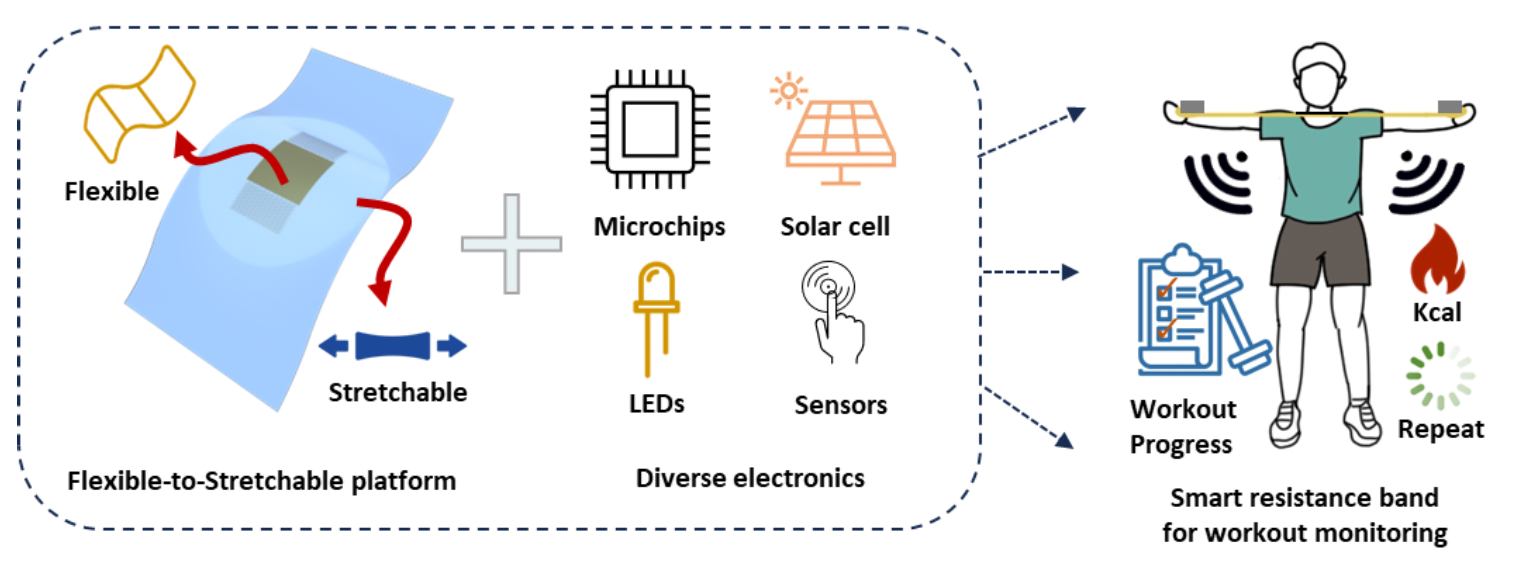 Figure 3. Applications of flexible-to-stretchable platform