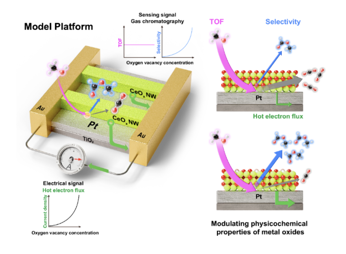 Figure 1. Schematic of aligned CeOx nanowire arrays on Pt catalysts for analyzing their role in methyl formate selectivity during methanol oxidation